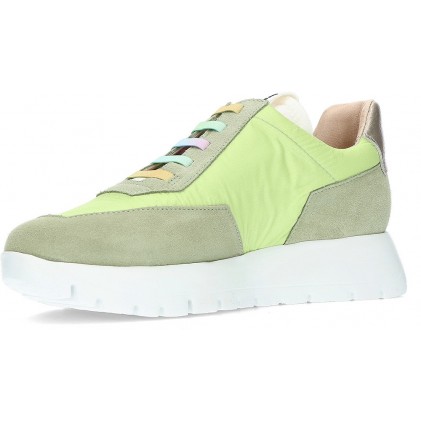 WUNDERT A2422T SNEAKER OIL_LIMA