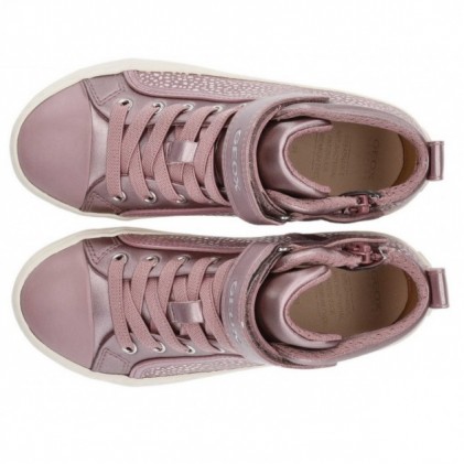GEOX KALISPERA ankle boots DARK_ROSE