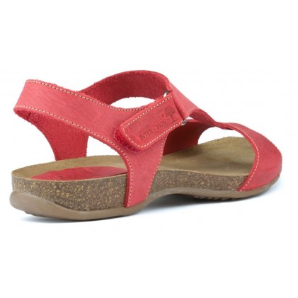 SANDALI ANATOMICI INTERMEDI 4420 C.ROJO