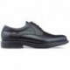 CALLAGHAN TORO CEDRONSCHOENEN  NEGRO
